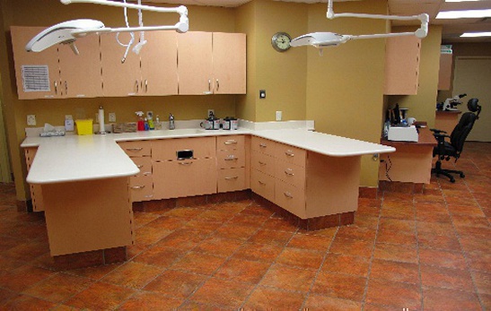 Treatment Area